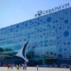 «Москвариум» — крупнейший в Европе центр океанографии